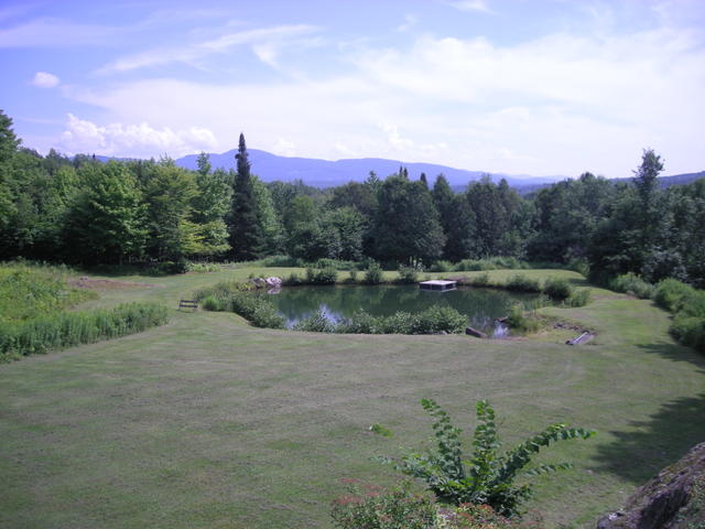 Vue sur l'étang